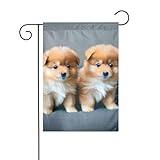 30,5 x 45,7 cm. Misura ideale: con una dimensione di 30,5 x 45,7 cm, questa bandiera da giardino con stampa di cuccioli di Pomerania e punto 1 è perfettamente proporzionata per portici, assicurando che sia evidente senza occupare troppo spazio, rendendolo ideale sia per portici piccoli che grandi.