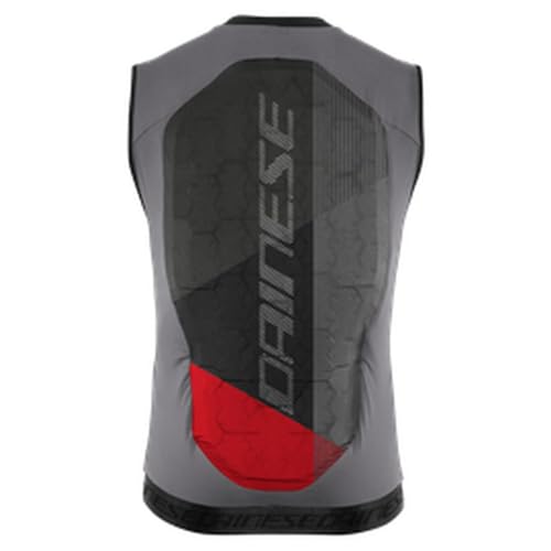 Dainese - Flexagon Waistcoat 2 Man, Skischutzweste, Ski-Rückenprotektor, Mann, Silber/Grau, XL