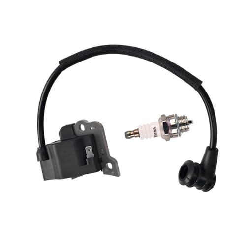 Bobine d'allumage avec bougie BM6A pour P230 PB230 T260