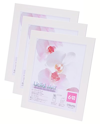 【まとめ買いセット】 Chikuma フォトフレーム Uclidマット 6切 ホワイト 3枚セット 15864-6