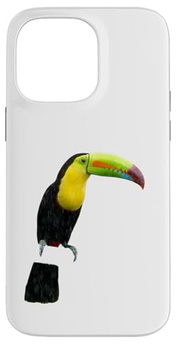 Ramphastos Sulfuratus �L�[�� �����I�I�n�V �X�}�z�P�[�X iPhone 14 Pro Max �p