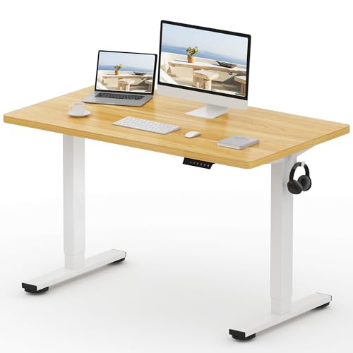 FlexiSpot E1 Plus ONE PIECE Electric Standing Desk Height Adjustable Sit Stand Desk with Memory...