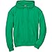 Hanes Men's Pullover EcoSmart Hooded Sweatshirt, kelly green, Small