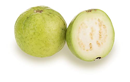Fresh Guava (Amrudh) Fresh,500 Gram