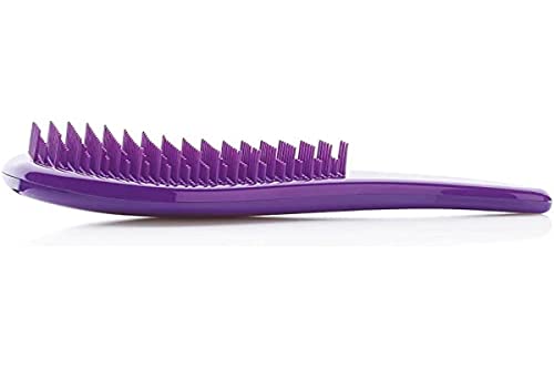XanitaliaPro Kolor Tangle Kolor Tangle EntwirrbĂĽrste Lila