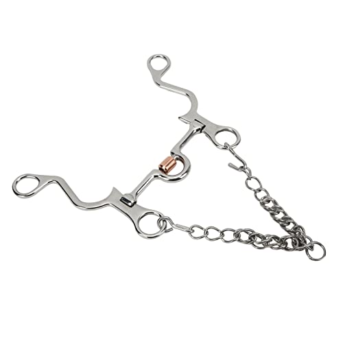 Akozon Edelstahl-Gebiss mit -Gravur und Mundstück – Langlebige Reitausrüstung für Reitprofis (130MM)