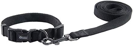 Olahibi Basic Dog Collar Leash Set,Durable Nylon Collar and 5ft Matching Lead for Small Dogs.(S, Black Set)