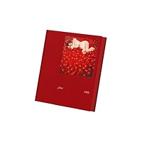 ジェニ Ruby photobook アメリカ限定直筆サイン入りポストカード 直筆サイン入り ジェニー 「Ruby」 CDアルバム カセット アート