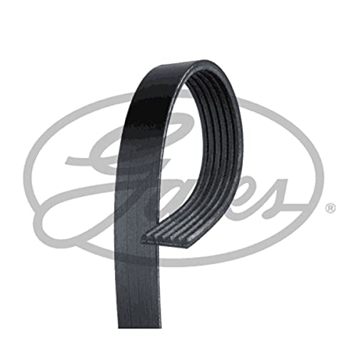 Courroie GATES 6PK1157EST noire pour rouler sereinement en vacances