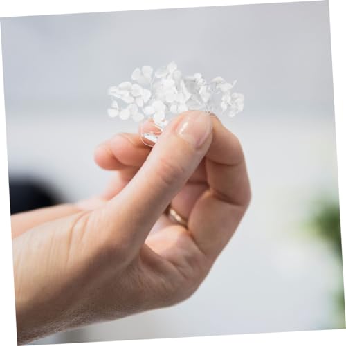 DECHOUS pétalos secos naturales de hortensia 20g miniatura 3