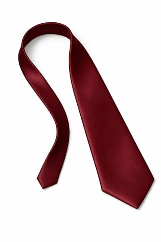 Image of SOFTSTYLE Premium Satin Necktie For Men | Wrinkle-Free | Ofice, Party & Wedding