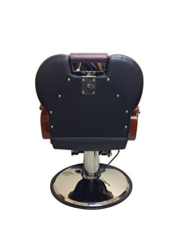BBQ All Purpose Hydraulic Recline Barber Chair Salon Shampoo Beauty Spa Equipment (Black and Brown)