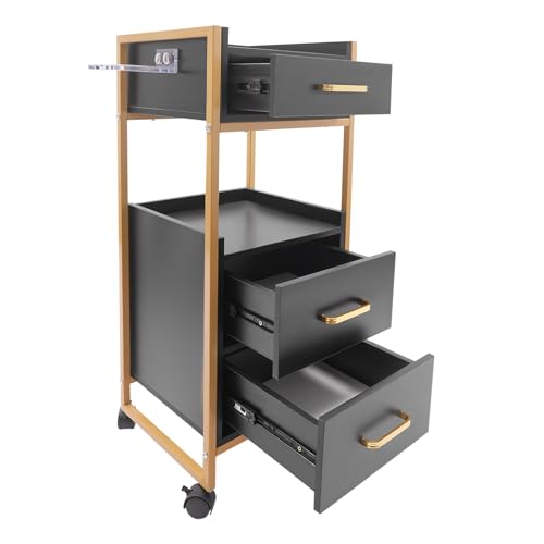 BOPRCSH Beauty Salon Storage Trolley Cart, Rolling Hairdressing Salon Cart Rolling Barber Station Salon Cart with Drawer and Dryer Holder, Hair Salon Station Cabinet Cart, 176.37lbs, for Barber Shop