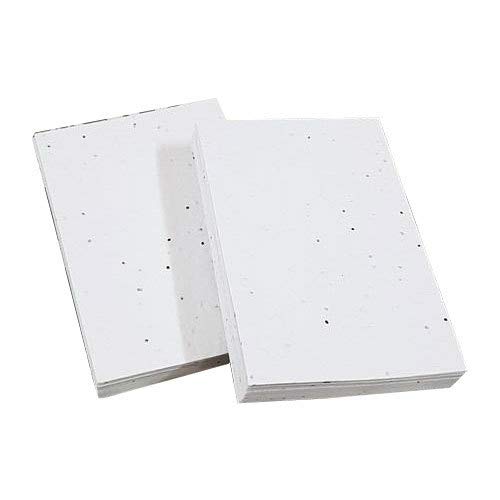 Basil Seed Paper, Seed Paper, Seed Embedded Paper, plantable Paper