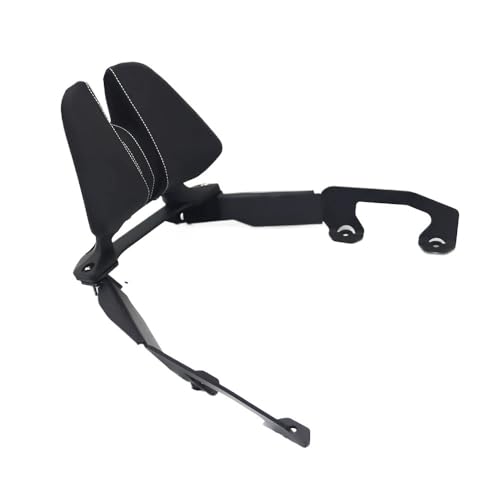 Dossier de moto passager Forza 350 avec kit installation coussin arrière