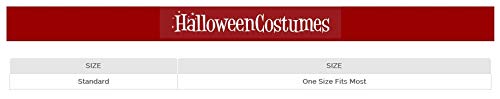 California Costumes Desert Princess Wig Women, Black, One Size, Smoke Black - Image 2