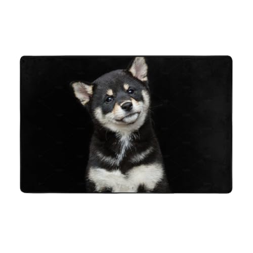 Č    J[ybg ` O}bg O O~ lC ėp h_j R h hL ӂƎG  DtlO g[Ή 􂦂 ~ߕt Aj ObY LN^[ v[g 100 × 150 Cm