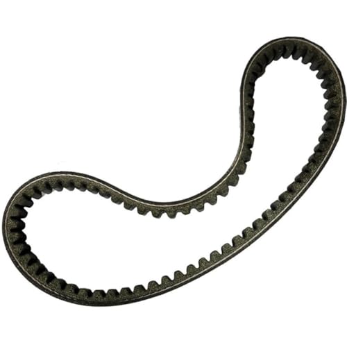 Correa simétrica 3/4" ideal para mantenimiento de equipos 203597 203597A