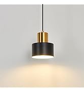 ASGYISA Industrial Mini Pendant Light Fixture Black and Gold Farmhouse Modern Adjustable Matte Ha...