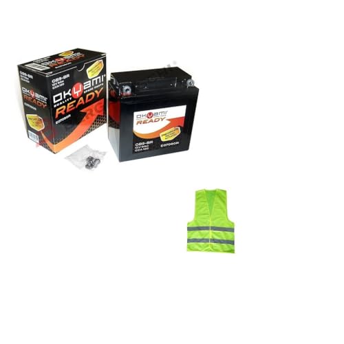  COMPATIBILE CON GILERA GFR 125 per anno 1986 al 0000 BATTERIA YB9-B OKYAMI OB9-BR FORNITA CARICA E PRONTA ALL\'USO BATTERIE ATTIVE 9 AH AMPERE 12 VOLT 135X75X139MM
