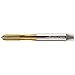 Walter Tools 203115-M7 Paradur HSS Machine Tap, TIN Finish, 7 mm Shank Diameter, 1 mm Thread Length, 15 mm Cutting Length, 80 mm Overall Length, M7 Cutting Diameter