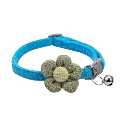 xt̉Lp - ߉\ȃefBxAƉԕ̃|jA ?(Blue)