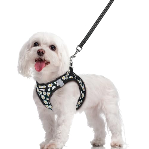 Image of rabbitgoo Dog Harness Medium Sized and Leash Set, Step-in Puppy Pet Vest