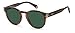 Polaroid Pld 6175/S 086/UC Havana Sunglasses Unisex Polycarbonate, Standard, 51 - 3