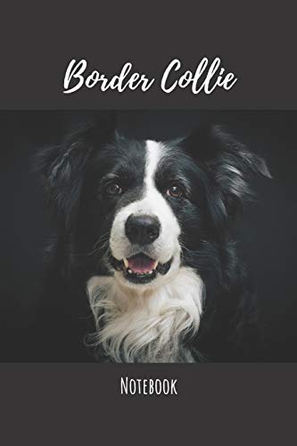  Border Collie Notebook: Notebook (120 pages, 6\