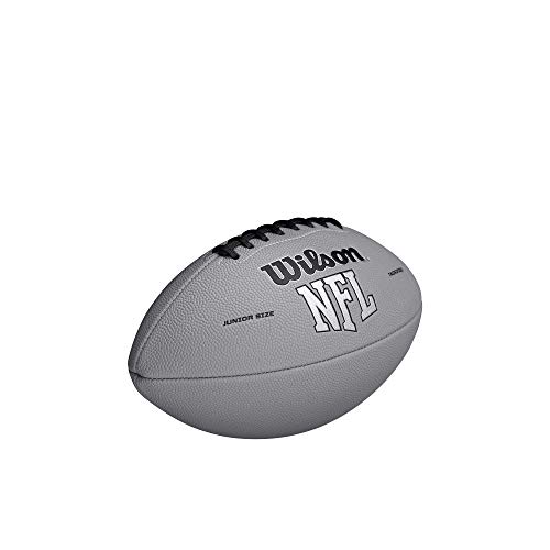 Image of WILSON NFL Recreational Footballs