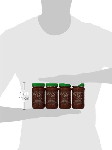 Image of Huy Fong Chili Garlic Sauce, 8-Ounce Jars (Pack of 24)