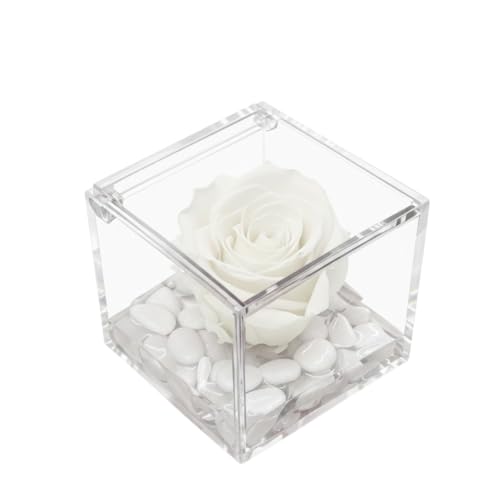 PREMIUM ROSE - Cubo Rosa Stabilizzata Bianca 6 cm con Marmo di Carrara - Rosa Eterna Stabilizzata Made in Italy - Idea per Matrimoni, Battesimi e Comunioni - Bianco 1068