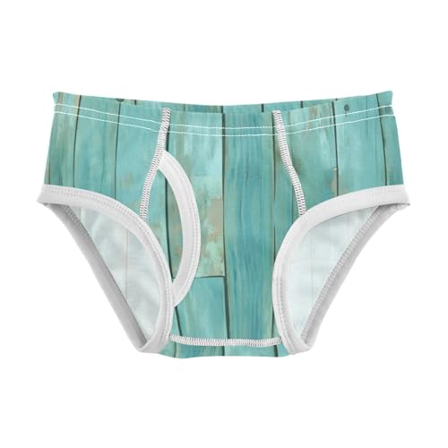 KLL Teal Turquoise Green Painted Wood Little Boys Cotton Briefs Breathable Children Undies