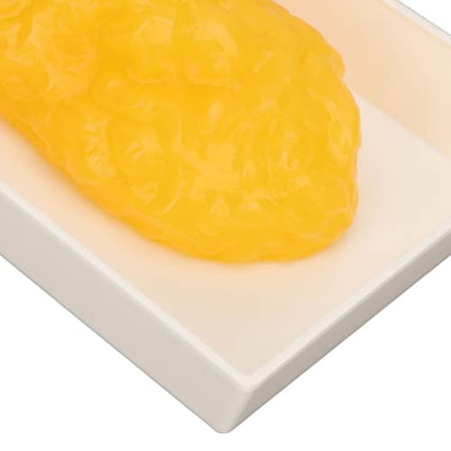 Image of Fat Replica 1lb,Human Body Fat Replica Fat Model,Human Fatty Tissue Demonstration Model for Nutritionist Science Course,Accurate Feel and Appearance of 1 Pound of Fat