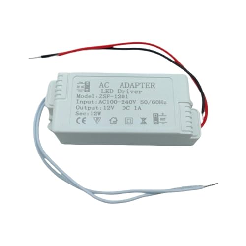 Pilote LED 24W alimentation 12V 2A transformateur AC220V