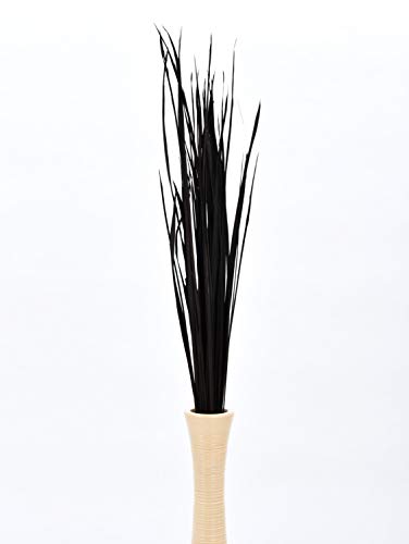 Image of Leewadee Tall Vase Filler, Natural Grass Stems - 2 Bunches of Colored Branches for Vases, Carefully Dried Twigs for Home and Bar Decoration, 45 inches, Black Brown