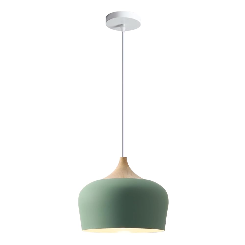ZGDHWCR Nordic Industrial Style Pendant Lamp, E26 Light Source Flush Mount Hanging Light, Single Head Ceiling Chandelier, Restaurant Living Room Balcony Decoration Light Fixtures
