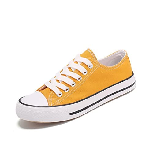 [WALKFB] gAbv Y wȂ Xj[J[ Xj[J[ gUPV[Y jOV[Y t LoX JWA ʐ^S 傫TCY L EI[LOV[Y t 24.5 cm h ʋC ₷ ~