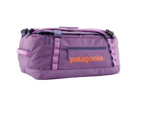 Patagonia Black Hole Duffel 40L Brisk Viola