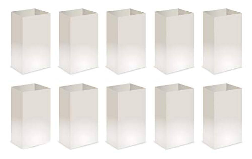 Elf Logic - Set of 10 Electric Luminary Bags (Incandescent Lights) - Plug in and Weatherproof Vellum Luminary Pathway Lighting - Reusable Luminary Bags - Perfect Outdoor Luminary Lights