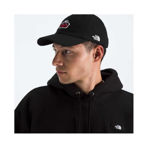 Image of The North Face Norm Baseball Hat | Shallow Fit Ball Cap with Embroidered Logo, Adjustable Strap Closure & Silver Buckle