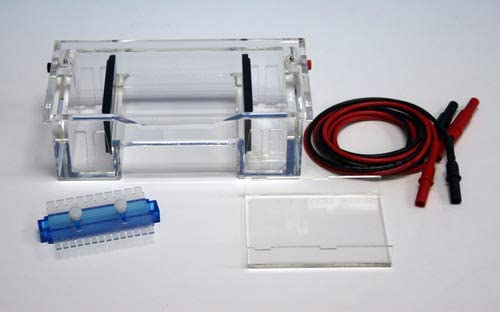 NAUDH ELECTROPHORESIS APPARATUS HORIZONTAL (B0B133N8TZ) Amazon Price History, Amazon Price Tracker