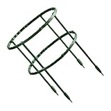 Tiges de verdure : peuvent être utilisées pour la traction des plants de vigne, avec fonction de support. il peut également la forme de plantes à feuillage étalé.