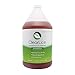 CLearLice Head Lice & Egg Natural Treatment Shampoo 1 Gallon Bulk Size
