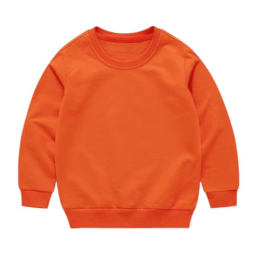 Unisex Kids Crewneck Sweatshirt Casual Long Sleeve Cotton Thin Pullover T-Shirt 2025 Fall Season Tops For Boy and Girl