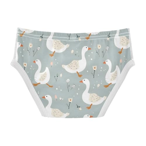 Little Ducks Flower Boys' Underwear 100% Cotton Boys' Briefs Soft Toddler Underwear2