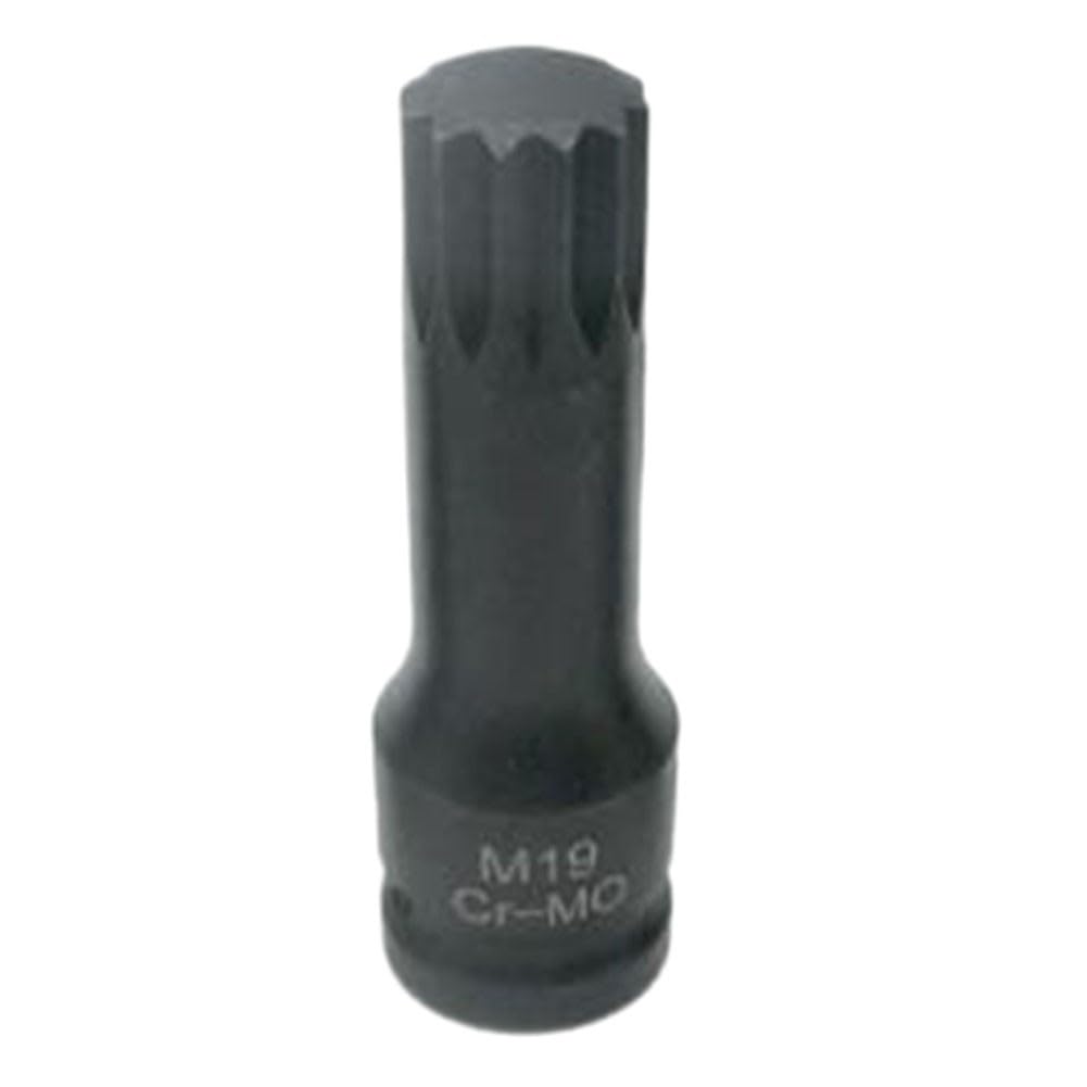 EasyByMall Set di chiavi a bussola Torx M5-M19 a 12 punti, 8 pezzi, 1/2", per riparazione automobilistica, struttura in metallo con custodia