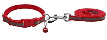 Dog Trust Reflective Safety Dog Leash Collar for Puppy Radium Set 0.5 Inch with Bell for Cats and Kitten 15 MM (Red)