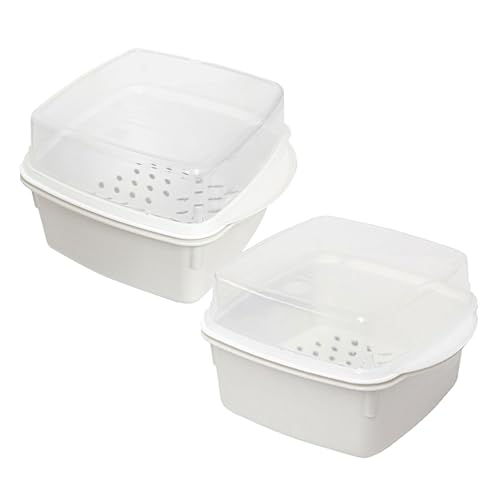 VERDANVERSE 2dqWp  ؏e t^t Œ󋵂mF\ NCbNbN@\ h{ƕێ Lb`ȃX