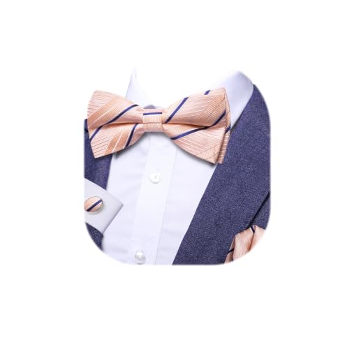 Image of Dubulle Mens Paisley Striped Bowtie Set Pre-tied Bowtie for Men and Pocket Square Set Wedding Business